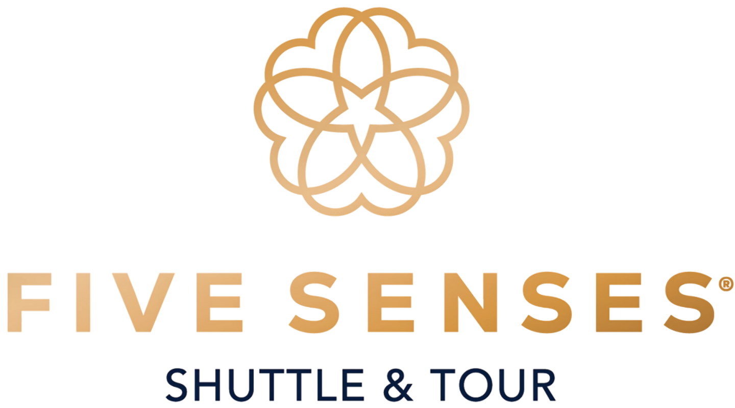 Fivesenses Logo